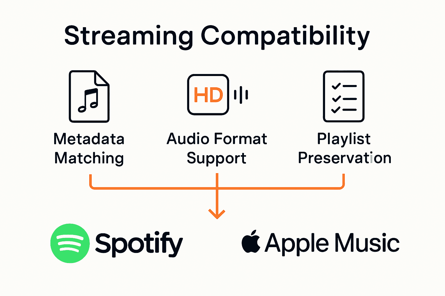 Infographic comparing music streaming metadata, audio format, and playlist support across platforms